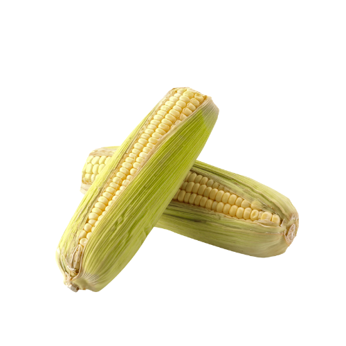 Elote entero x pieza