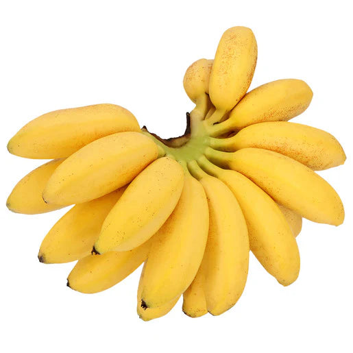 Penca de Plátano Dominicano