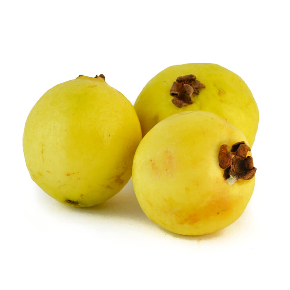 Guayaba x pieza