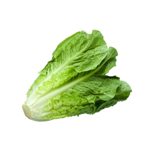 Lechuga Orejona x pieza