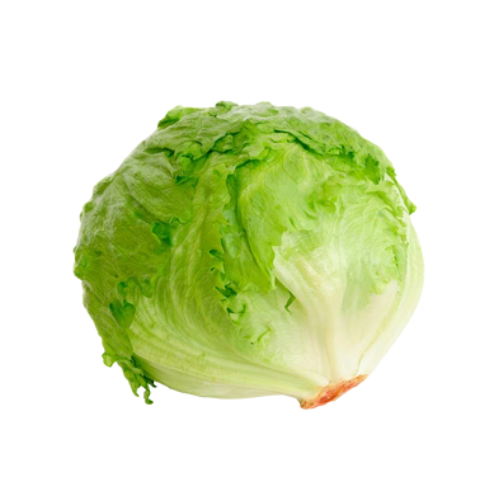 Lechuga Romana x pieza