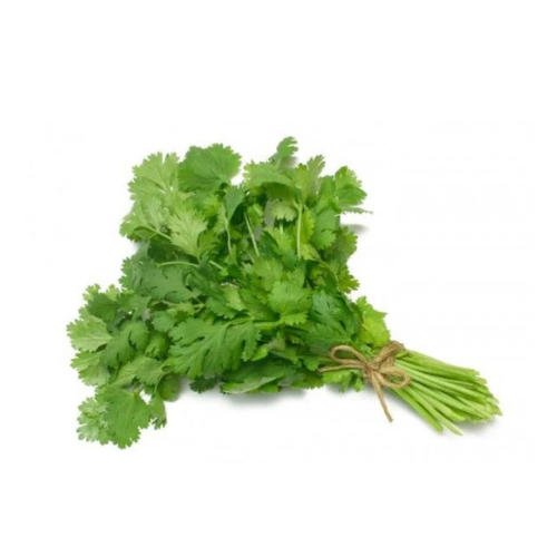 Cilantro manojo de 100g
