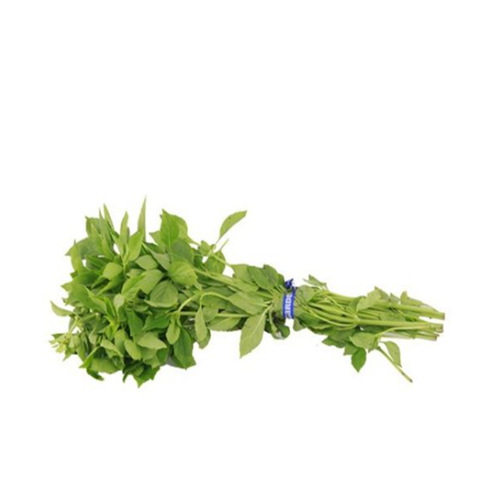 Albahaca Italina en Manojo de 100g