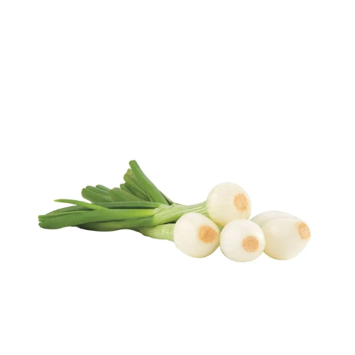 Cebollin en Manojo de 100g