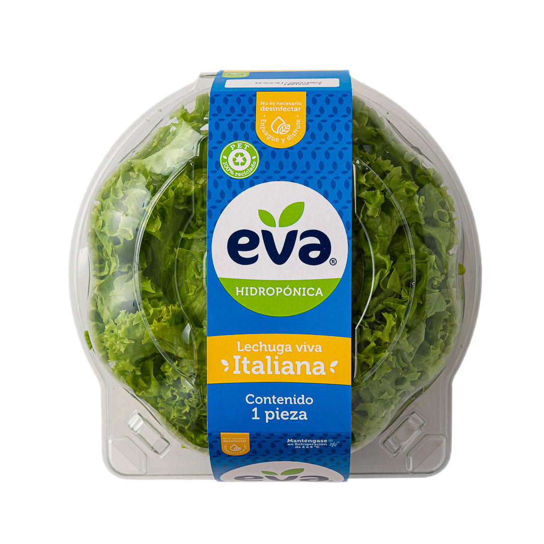 Lechuga Italiana Eva 1 pz