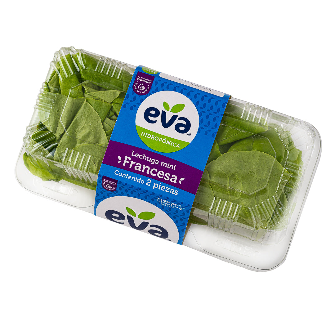 Lechuga Francesa Eva Mini 2 pzs