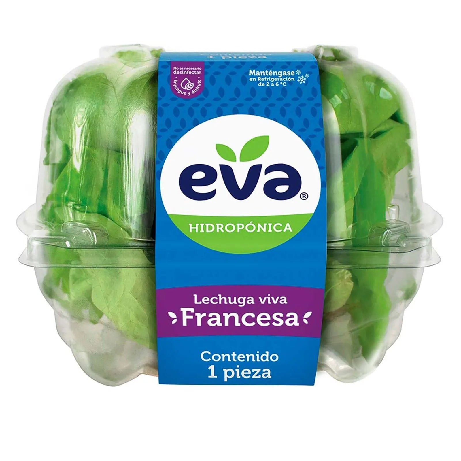 Lechuga Francesa Eva 1 pz