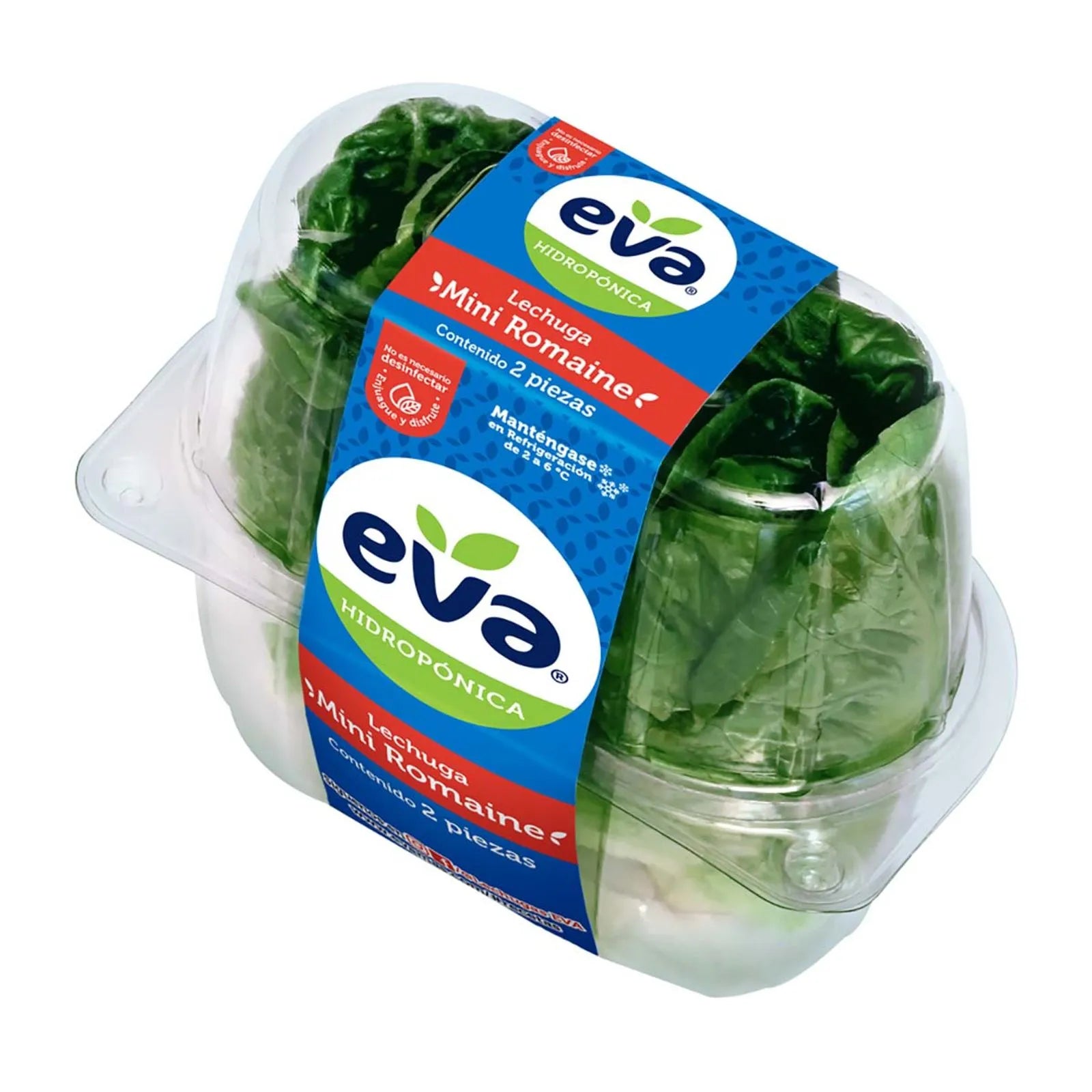 Lechuga Mini Romana Eva 2 pzs